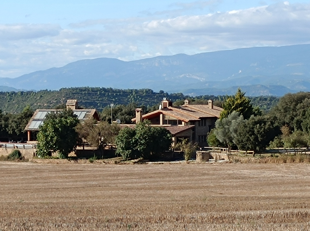 Hotel Villaro del Bosc主图