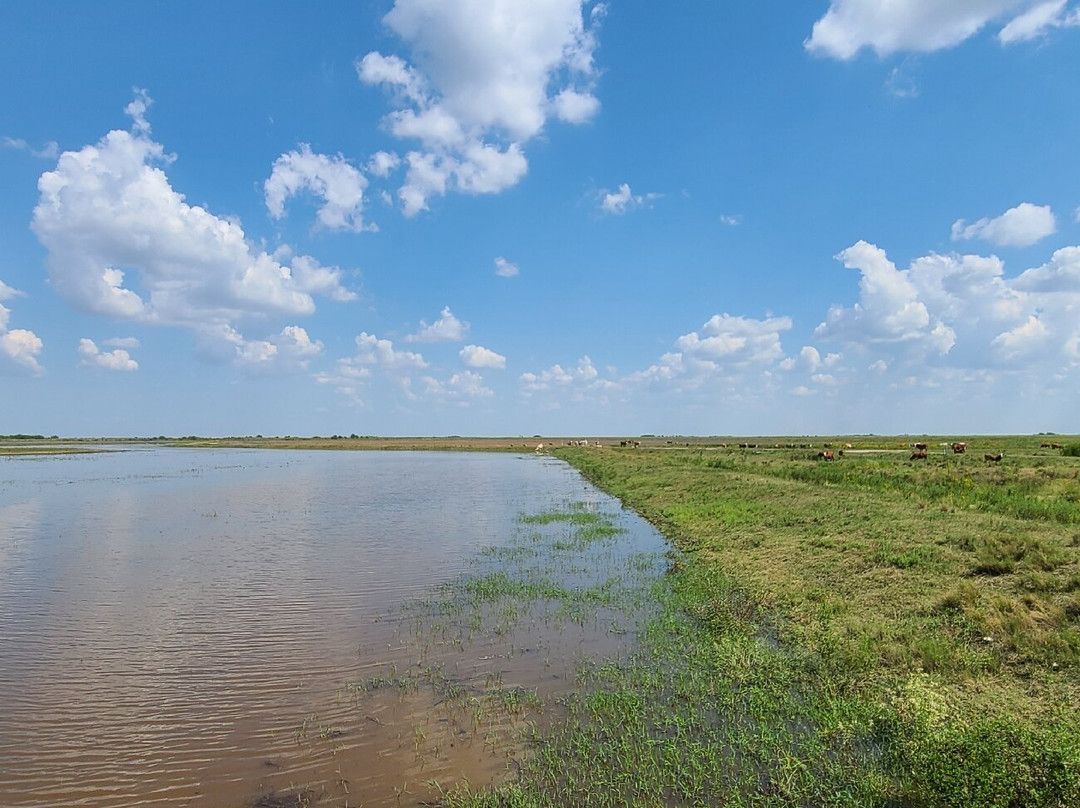 Jocelyn Nungaray National Wildlife Refuge-Anahuac必去景点