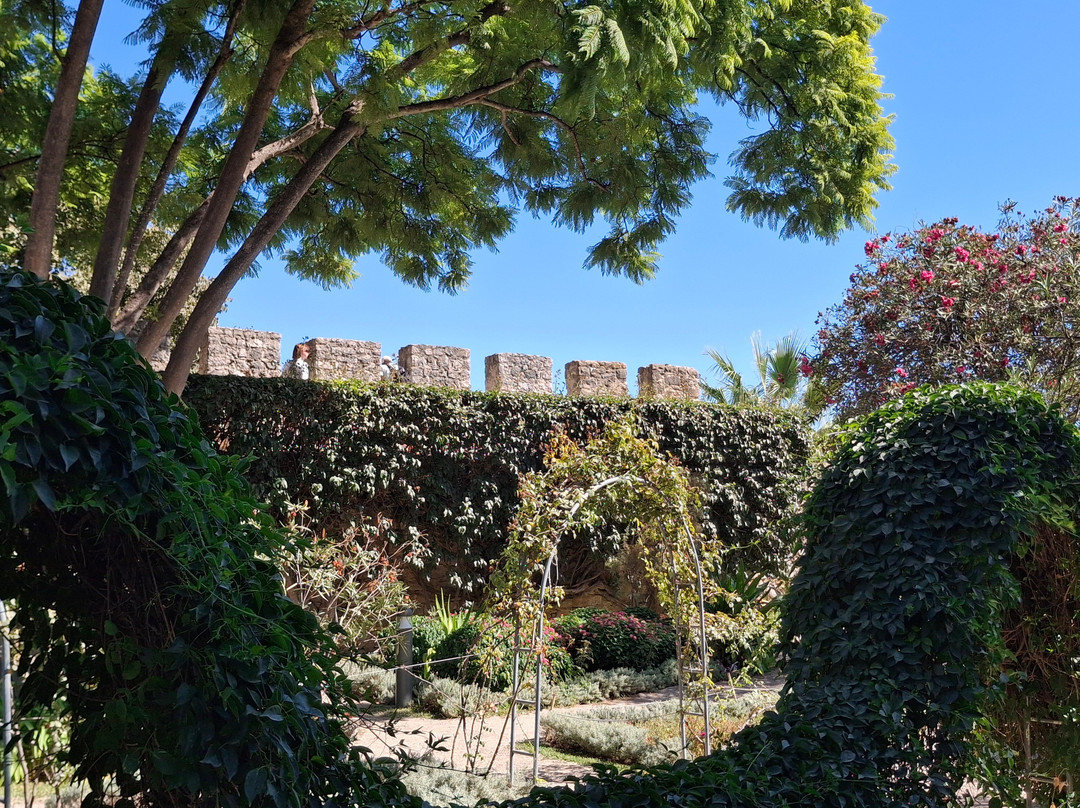 Castelo de Tavira-塔维拉必去景点