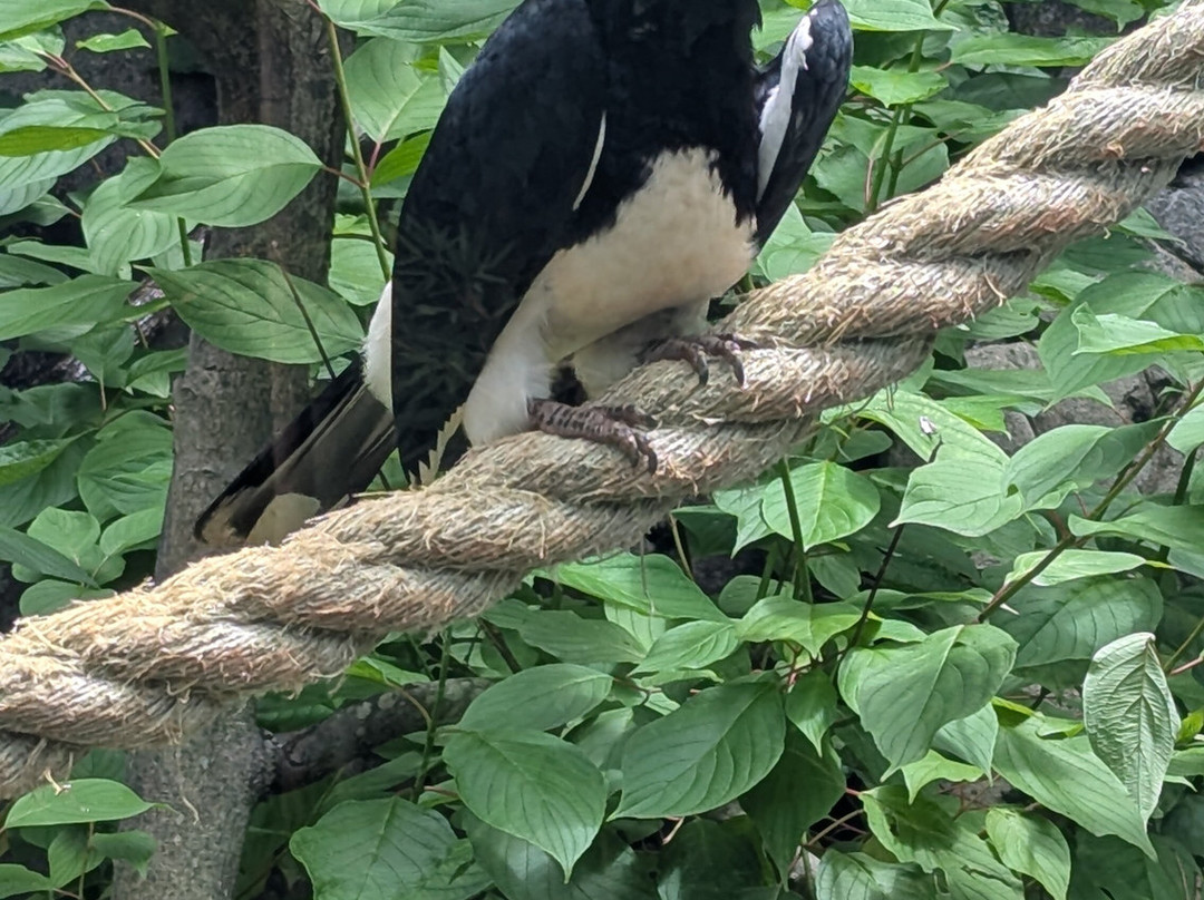 Greensboro Science Center-戈尔兹伯勒必去景点
