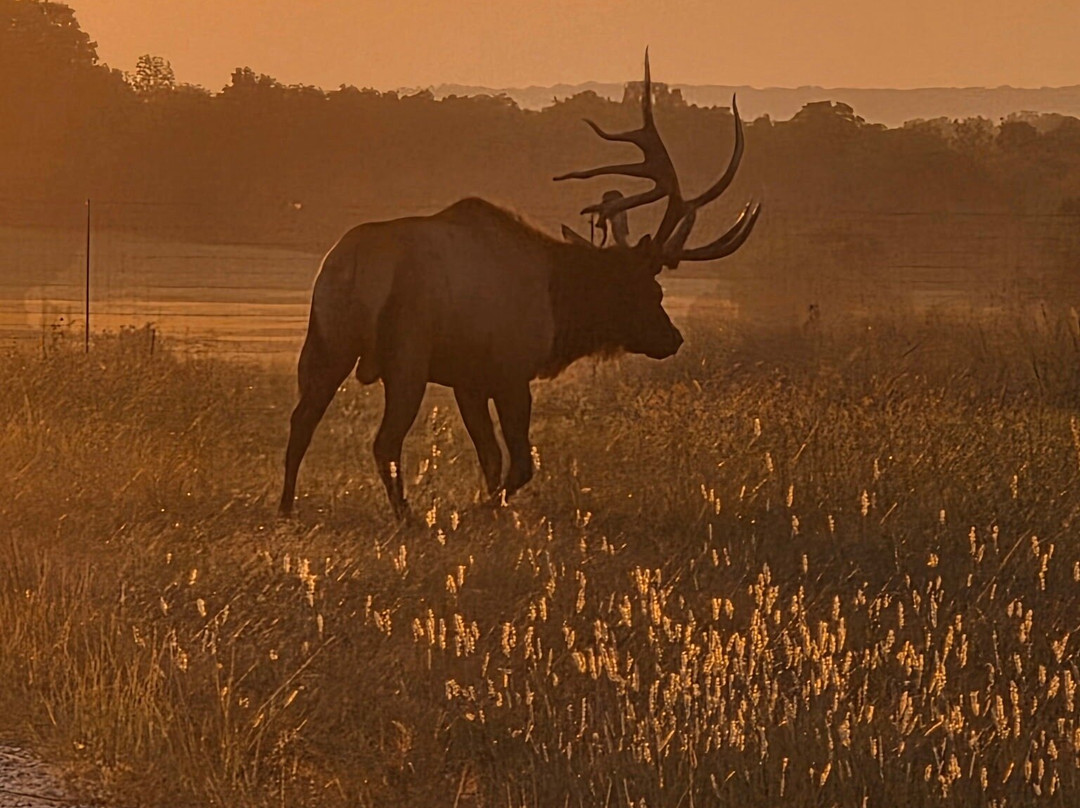 Daily Objective Distillery-Amsterdam必去景点