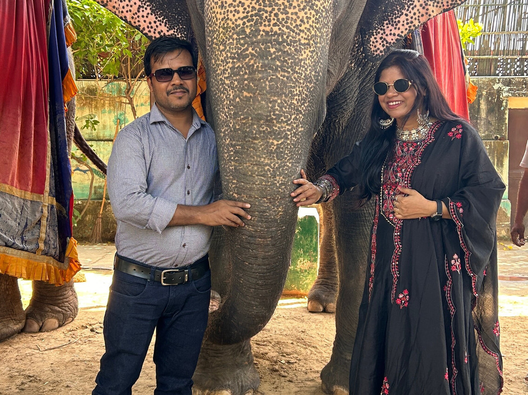 EleJungle-Amer必去景点