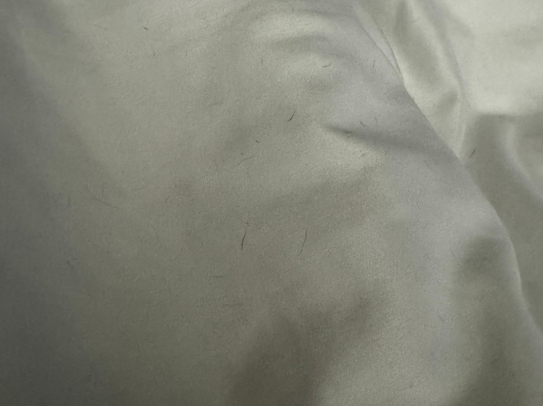 AmericInn by Wyndham Republic主图