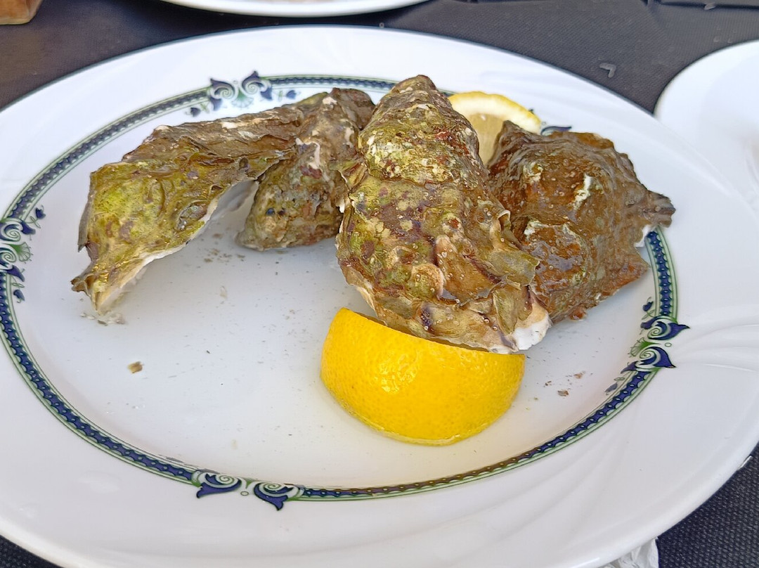 Bar La Gamba