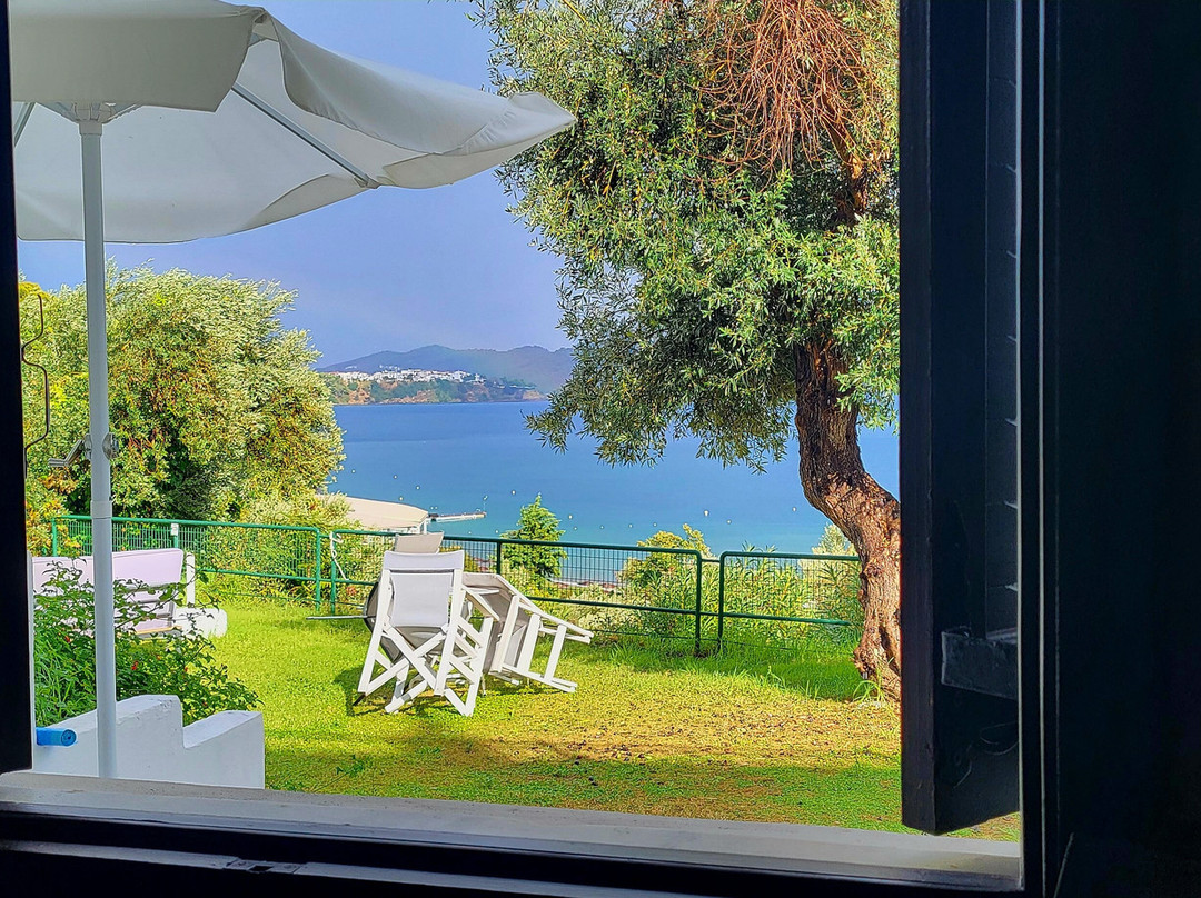 Vassilias Beach Hotel主图