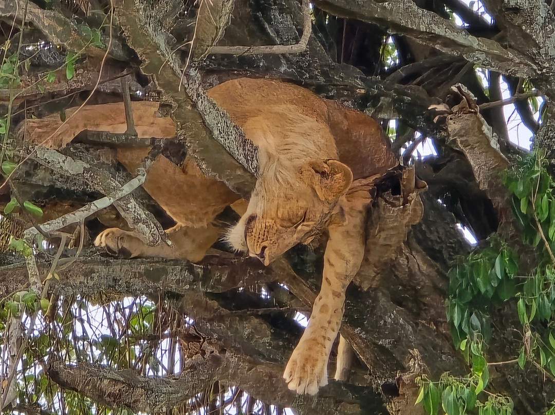 BUGOLI ADVENTURES LIMITED-卡巴莱必去景点