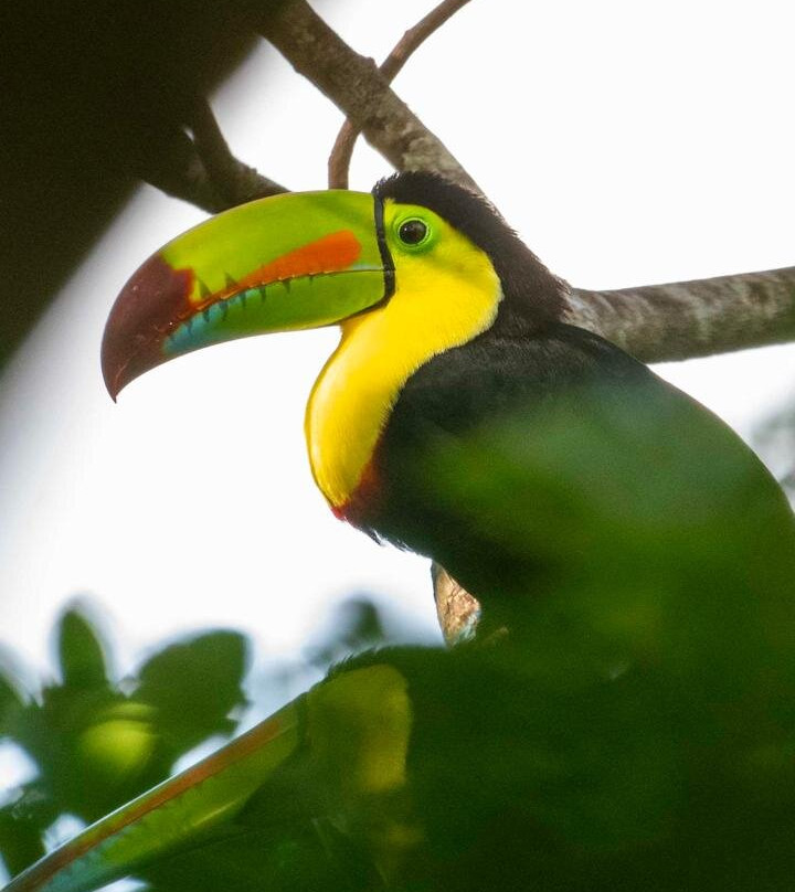 Cuilpilapan Miravalles-Fortuna de Bagaces必去景点