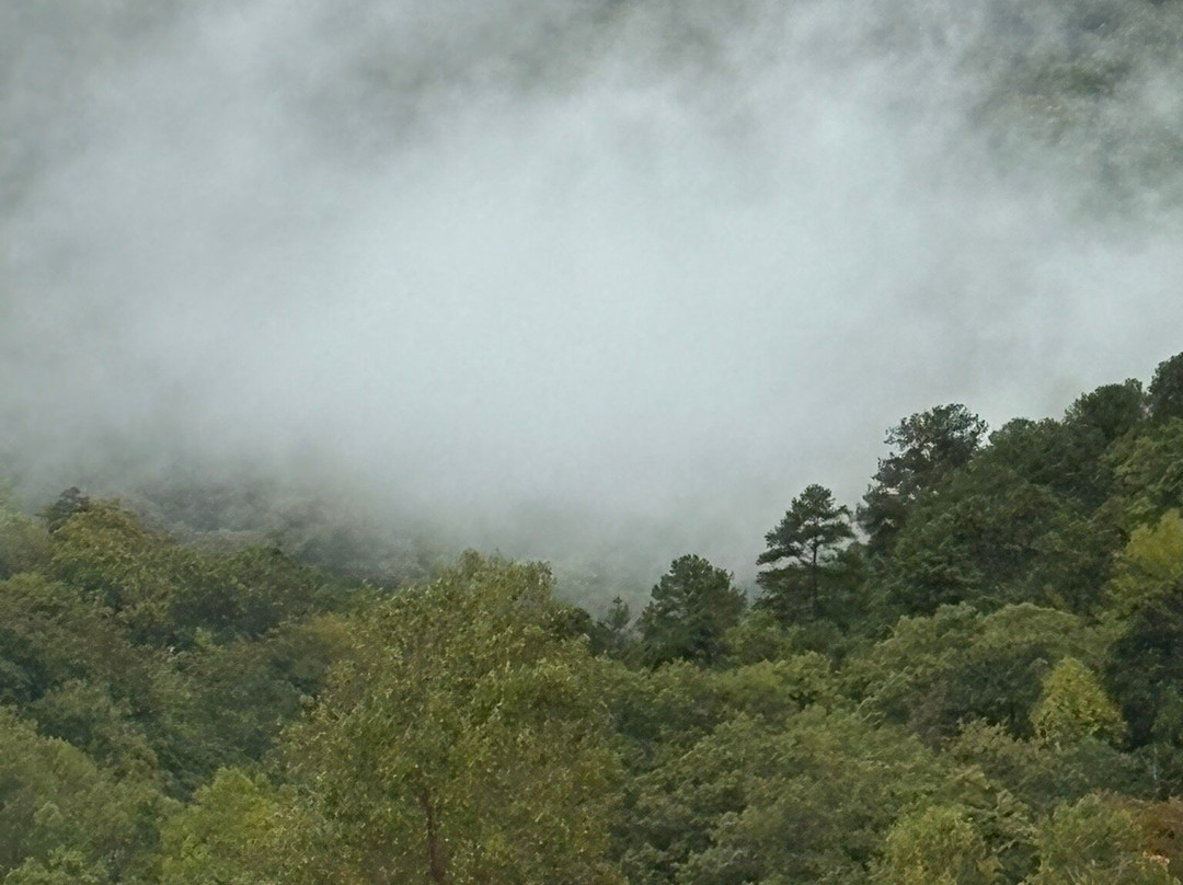 Newfound Gap Road-大雾山国家公园必去景点