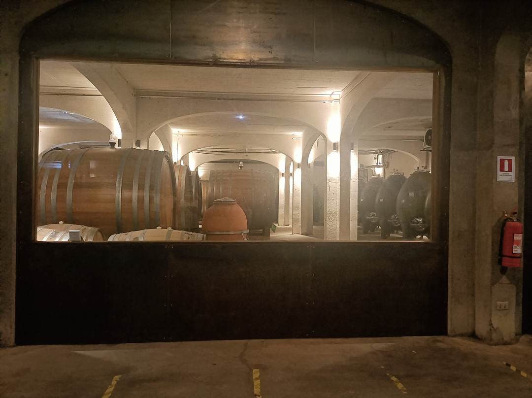 Viñedos Veramonte-卡萨布兰卡必去景点