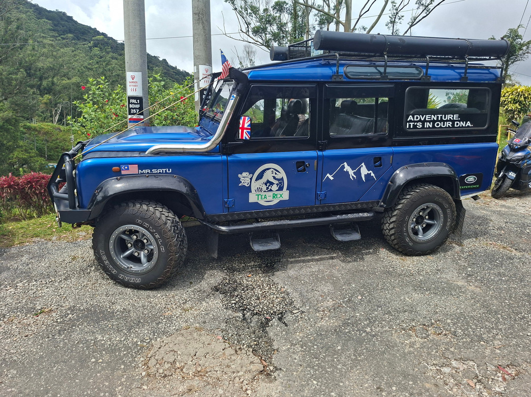 Cameron Secrets Travel and Tours Sdn Bhd-丹那拉塔必去景点