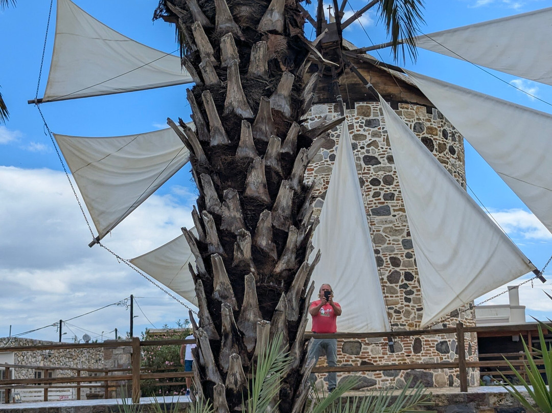 The Antimachia Windmill-Antimachia必去景点
