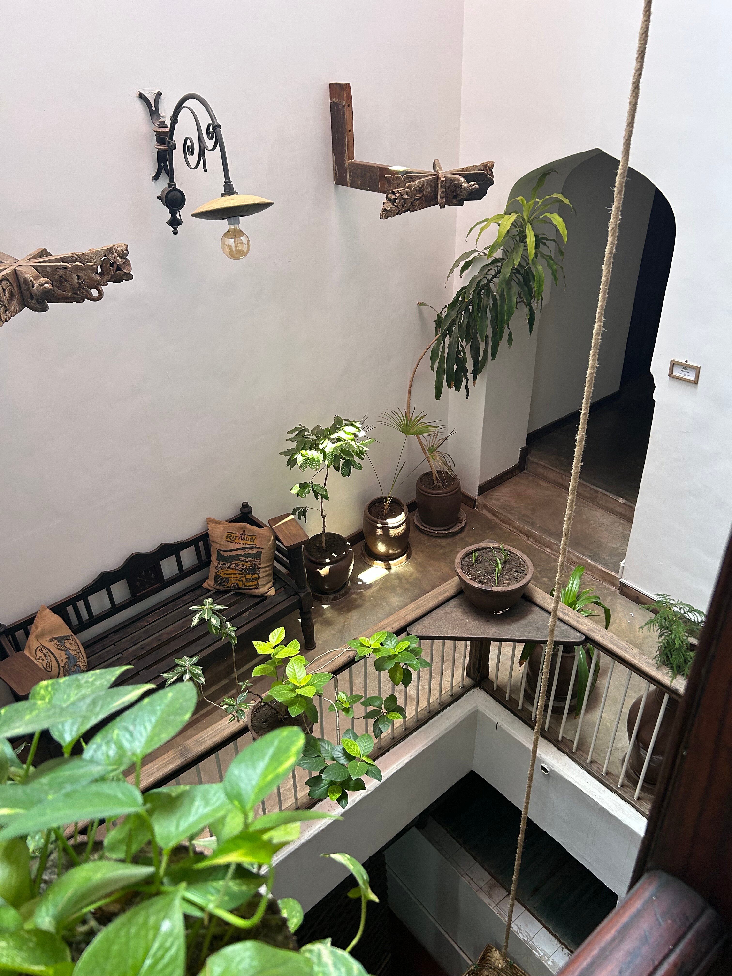 Zanzibar Coffee House-官方