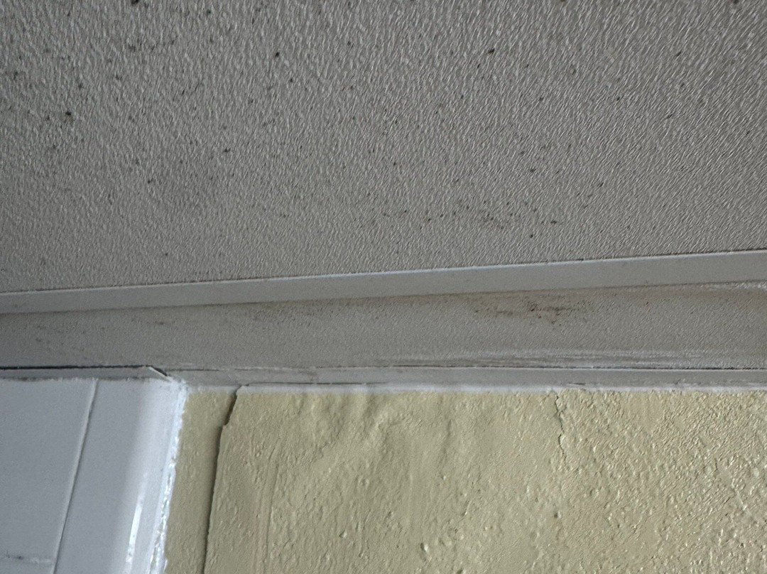 SureStay by Best Western Charlotte Matthews主图