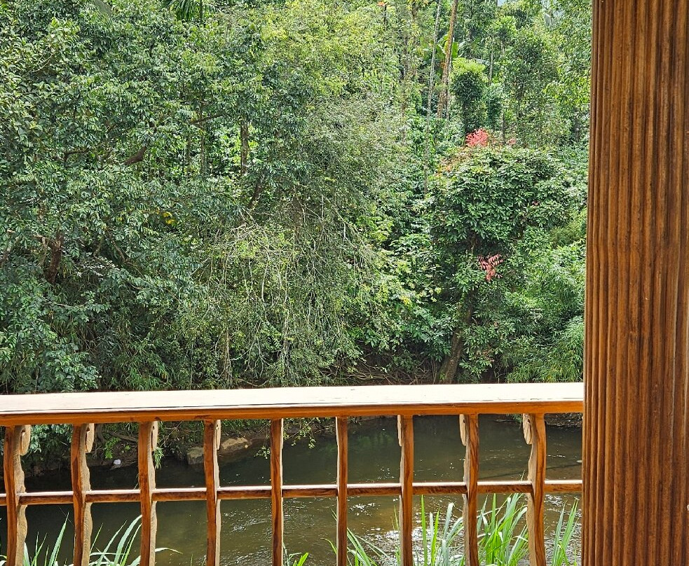 Misty Heights by the Sanihara