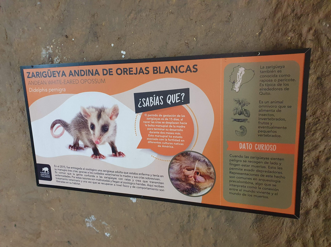 Zoologico de Quito-Guayllabamba必去景点