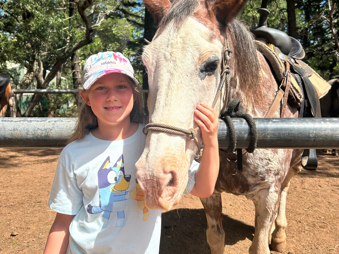 Ironwood Ranch-Napili-Honokowai必去景点