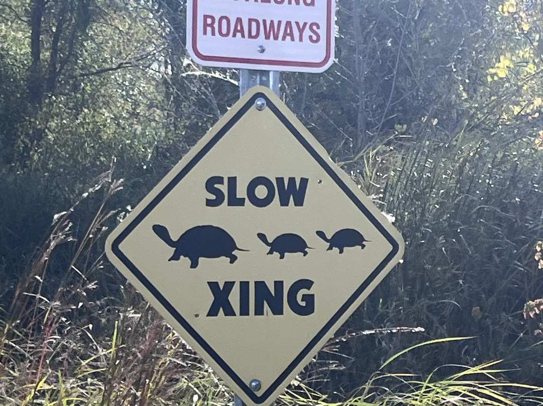 Illinois Beach Hotel主图