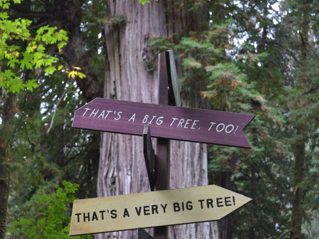 Prairie Creek - Foothill Trail Loop-Orick必去景点