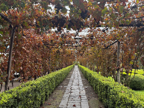 Ciao Andiamo-Spello必去景点