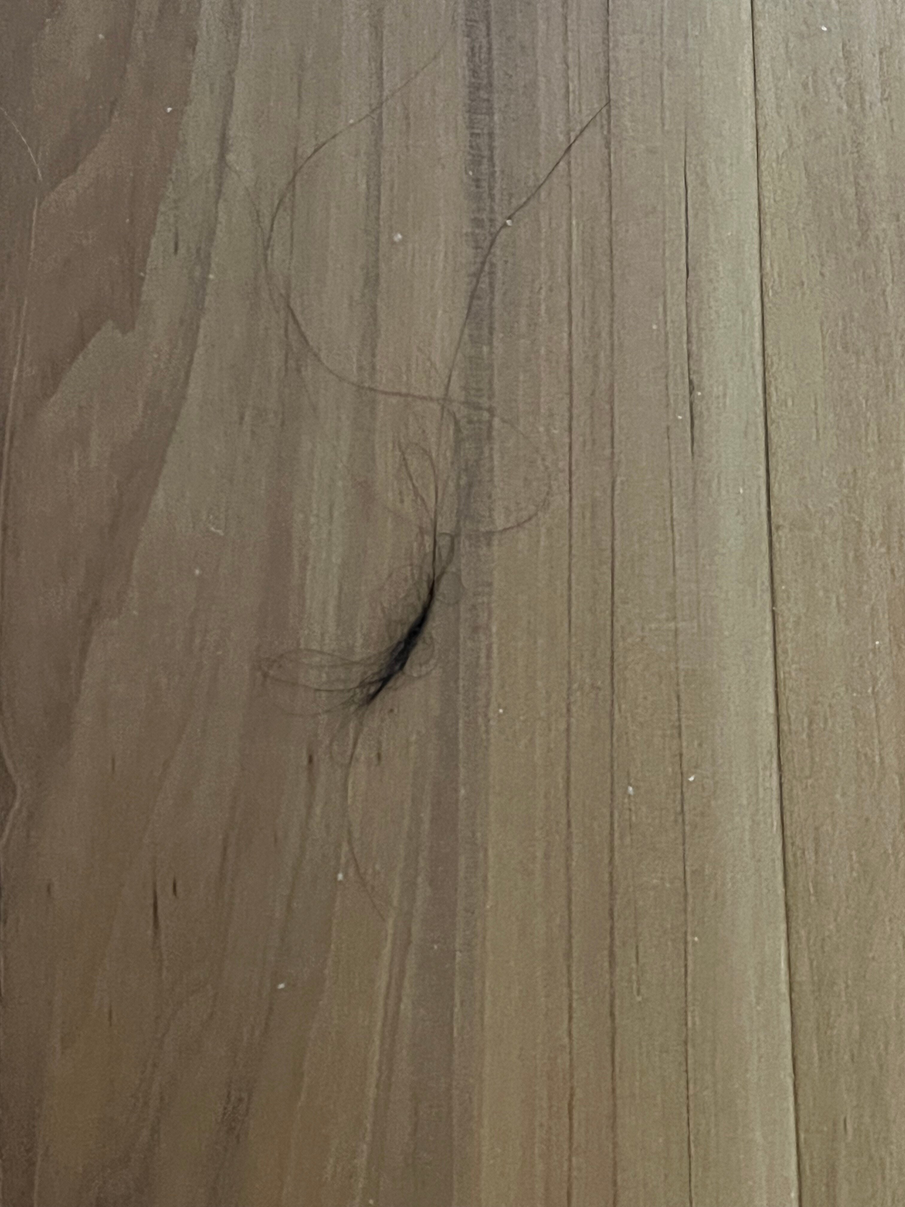 Motel 6 Henderson TX-客卧