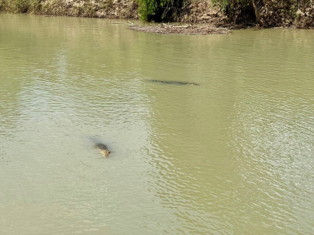 Cahills Crossing-卡卡杜国家公园必去景点