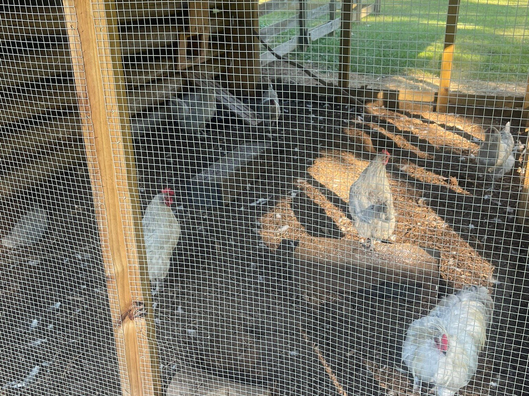 French Camp Bed and Breakfast Inn主图