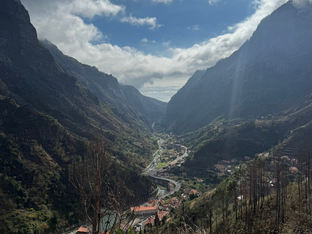 Nature Express Tours-Camara De Lobos必去景点