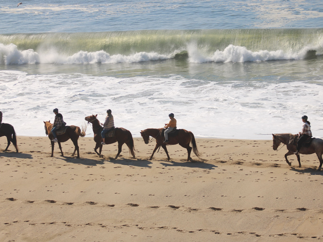 Sea Horse Ranch-半月湾必去景点