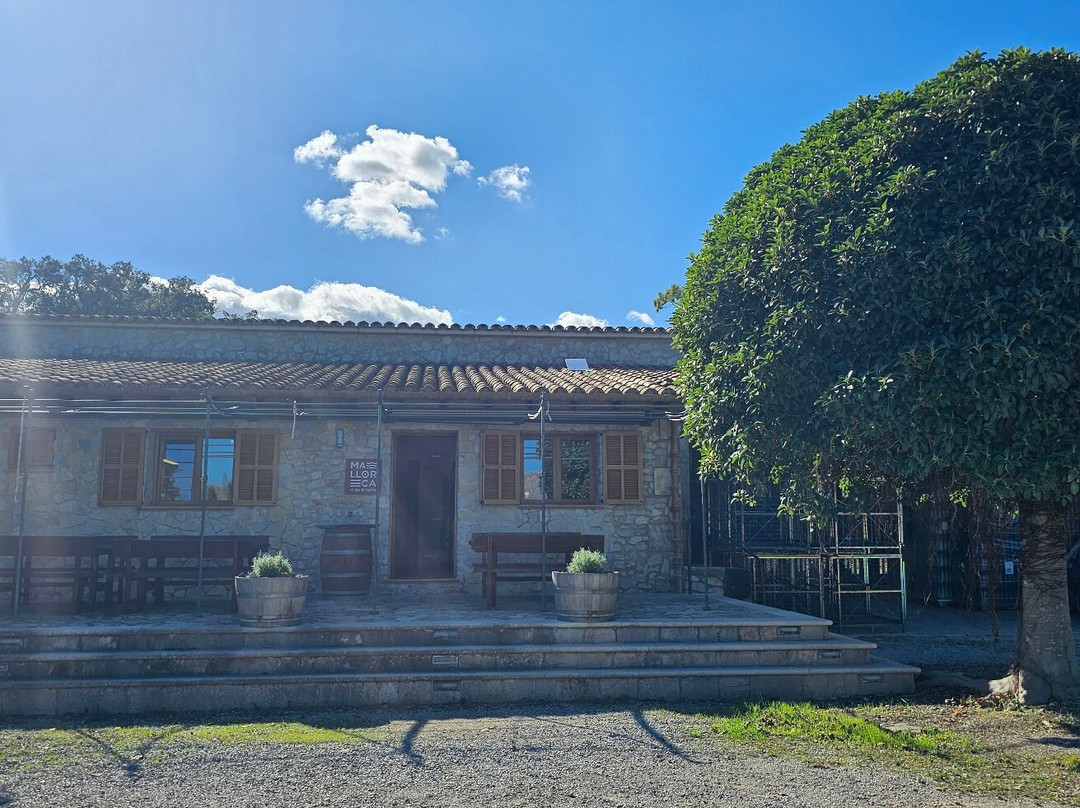 Bodegas Can Vidalet-Pollenca必去景点