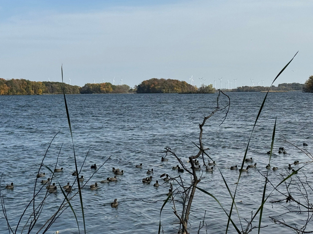 Rice Lake State Park