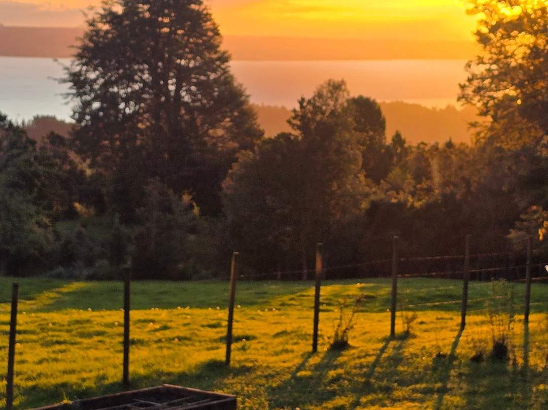 Lodge El Taique主图