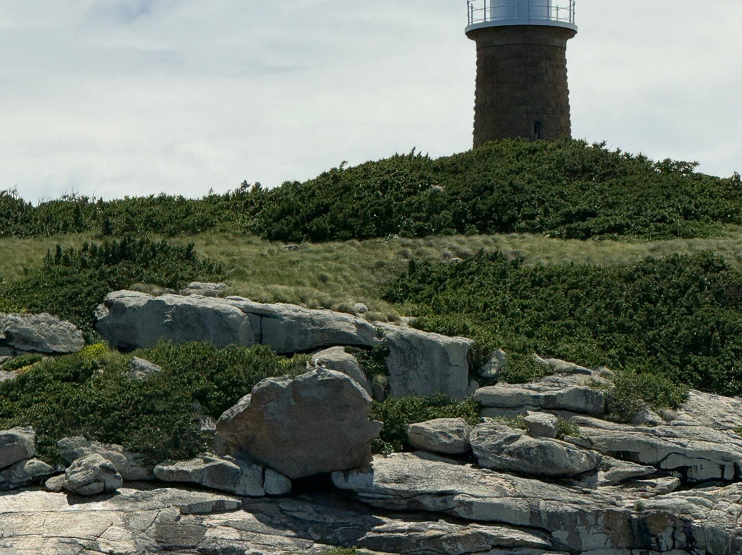 Wildlife Coast Cruises-考斯必去景点