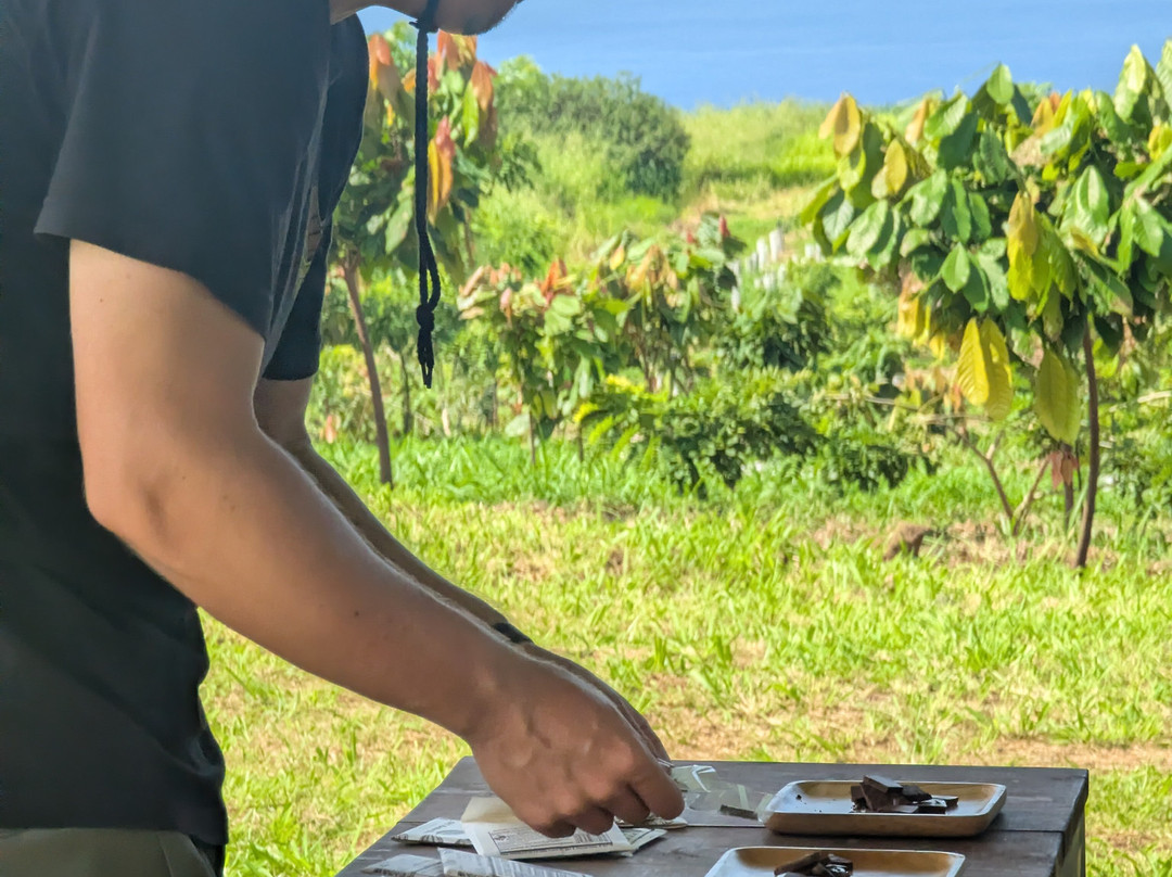 Puna Chocolate Company-凯鲁瓦-柯纳必去景点