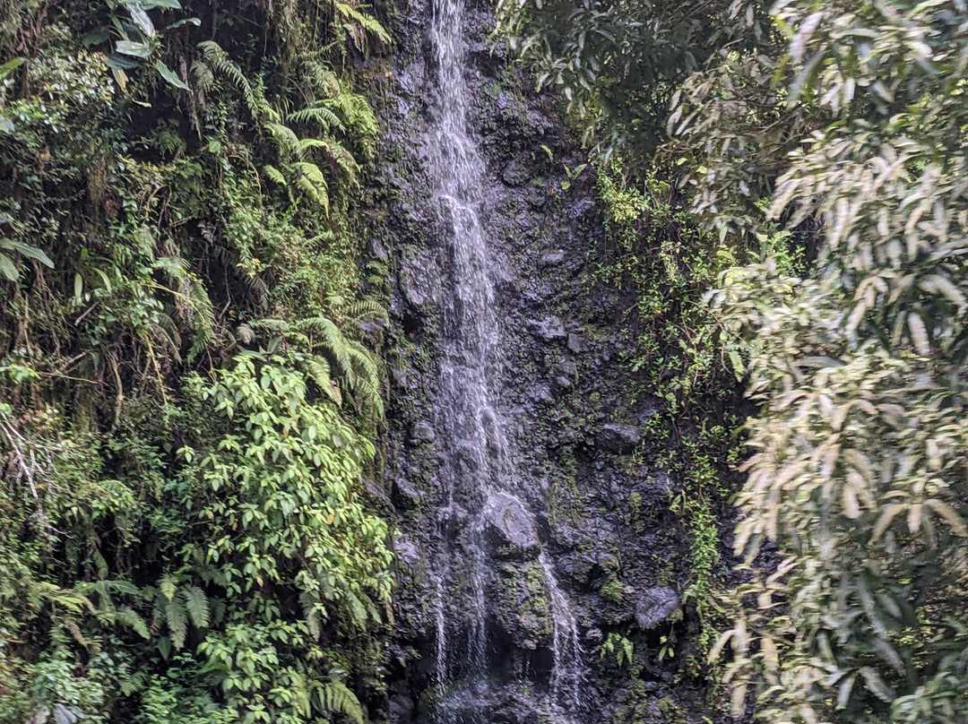Vallée de la Papenoo-大溪地必去景点