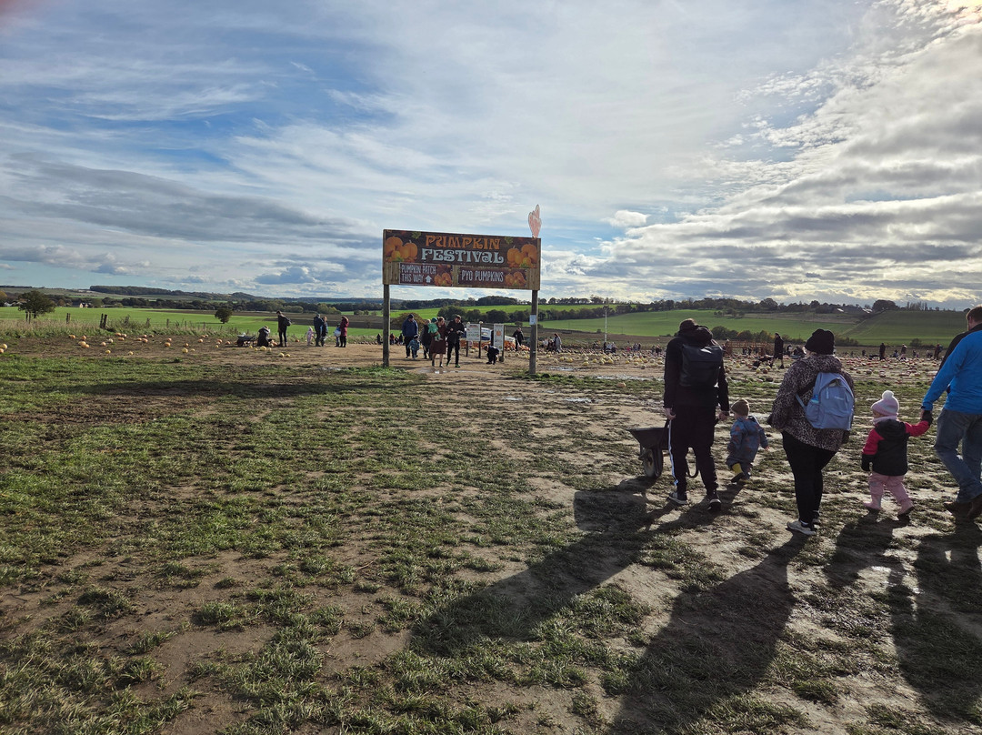 Farmer Copleys-庞蒂弗拉克特必去景点