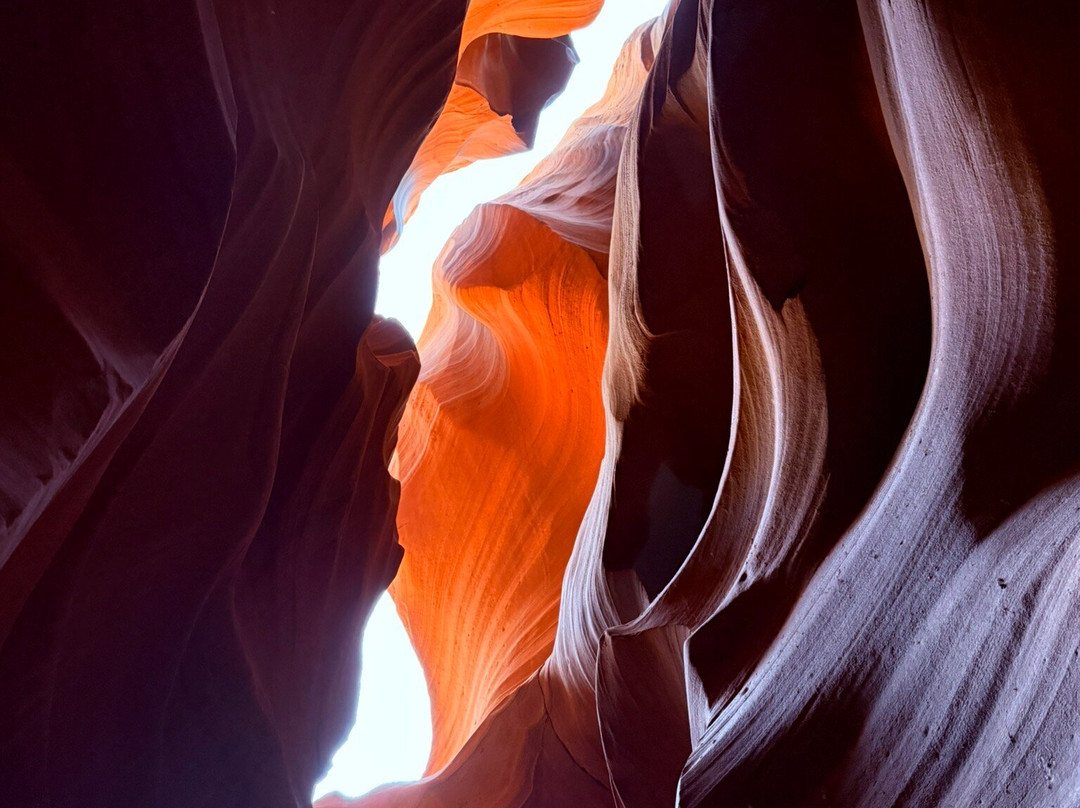 Antelope Canyon Tours by Roger Ekis-佩吉必去景点