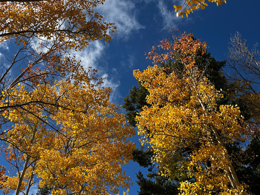 Aspen Vista Trail-圣菲必去景点