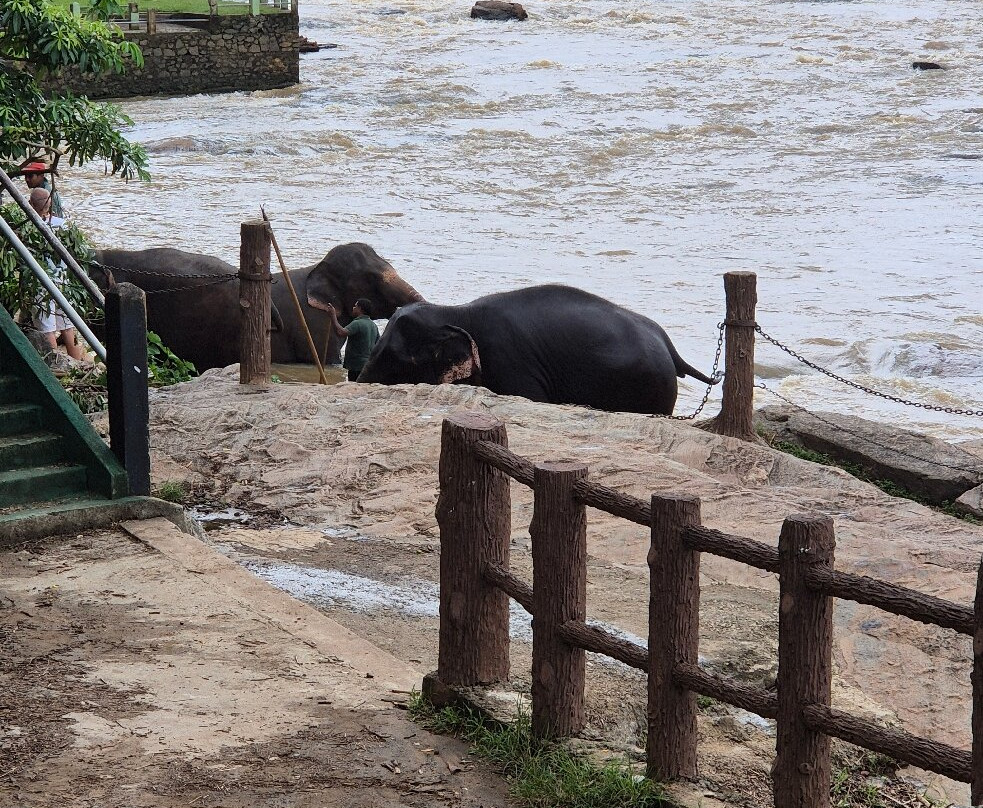 大象公园酒店主图