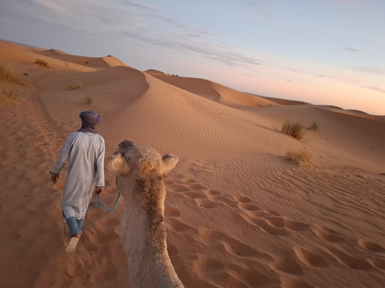 Blue Turbans Adventures-迈哈米德必去景点