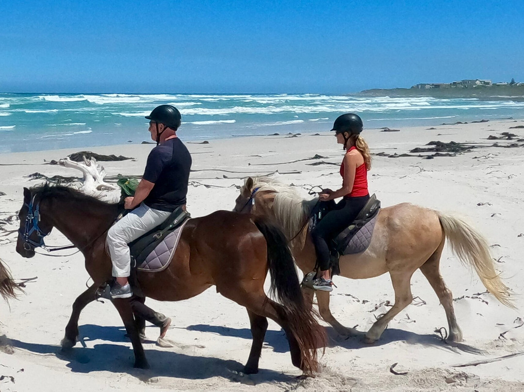 Gansbaai & Pearly Beach Horse Trails-干斯拜必去景点
