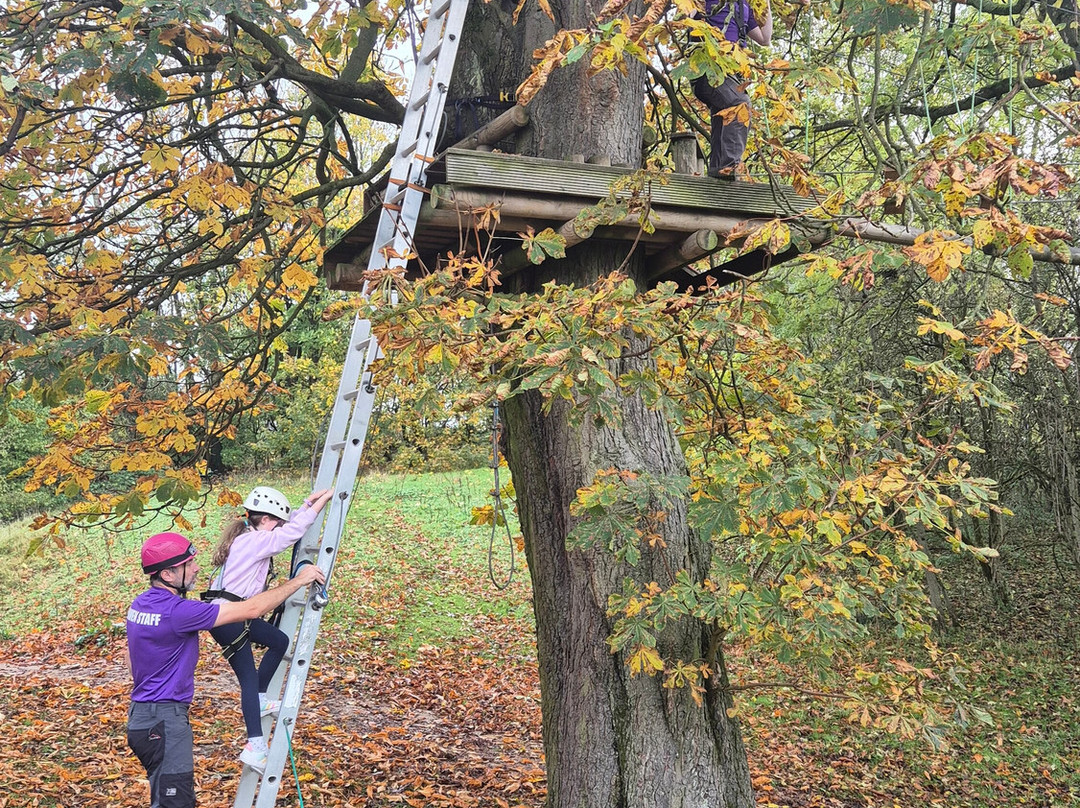 Raven Tree Top Adventure-斯基普顿必去景点
