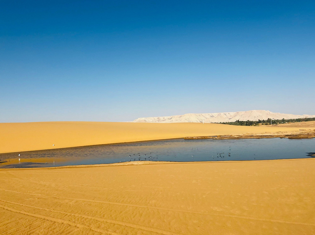 MyEgyTours - Day Tours-开罗必去景点