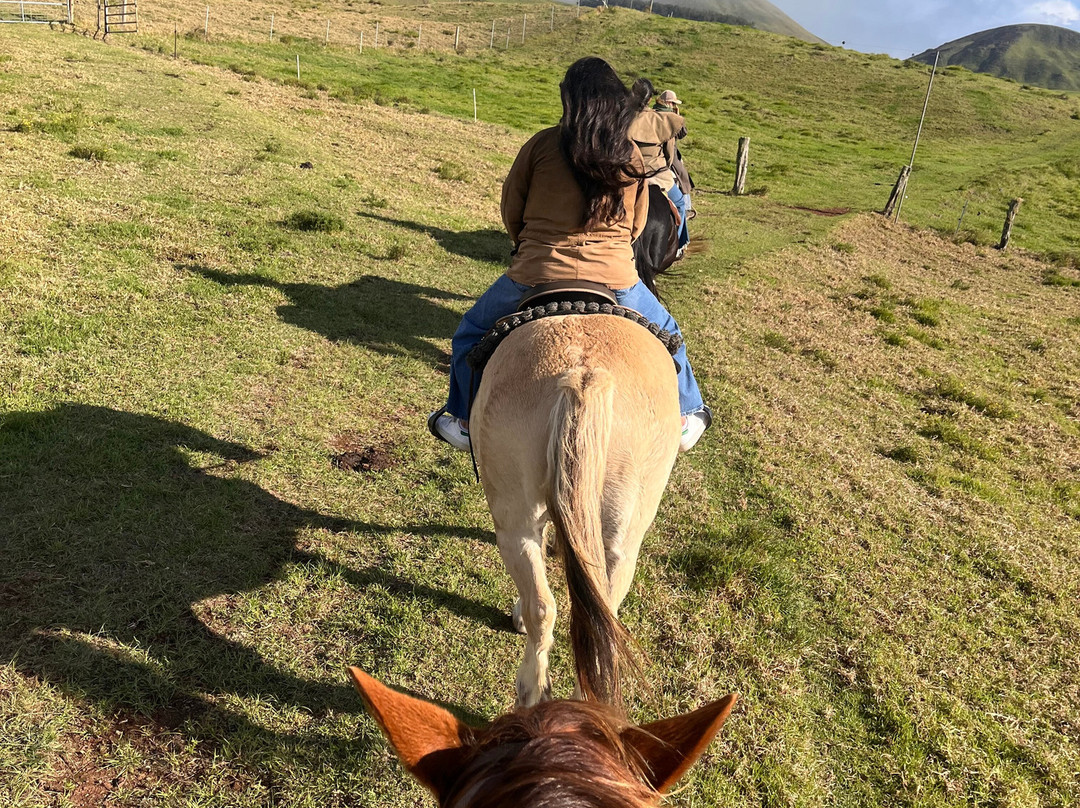 Na'alapa Stables - Kahua Ranch-卡慕也拉必去景点