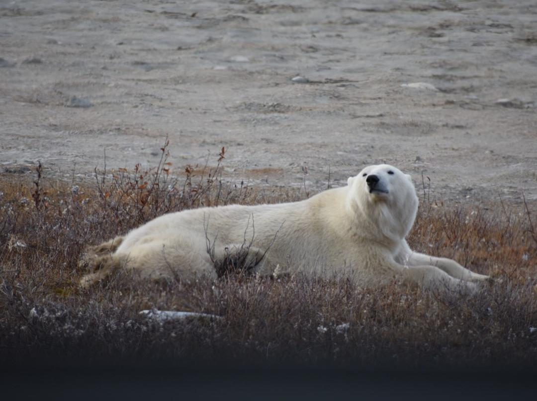 Heartland International Travel & Tours-温尼伯必去景点