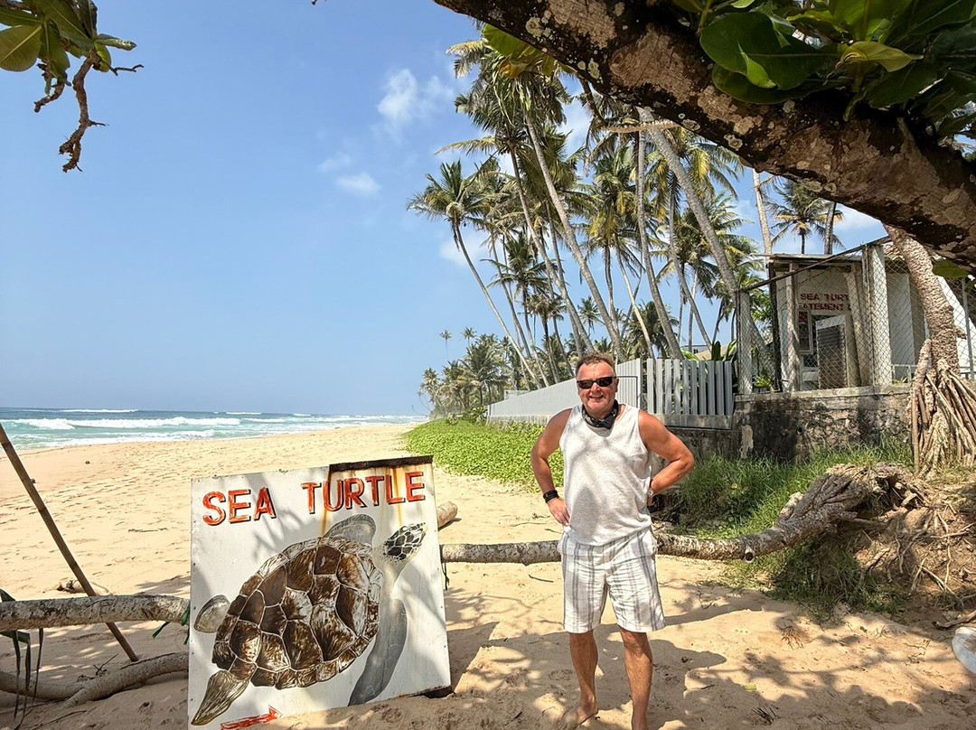 Sea Turtle Farm and Hatchery - Habaraduwa-哈巴拉杜瓦必去景点