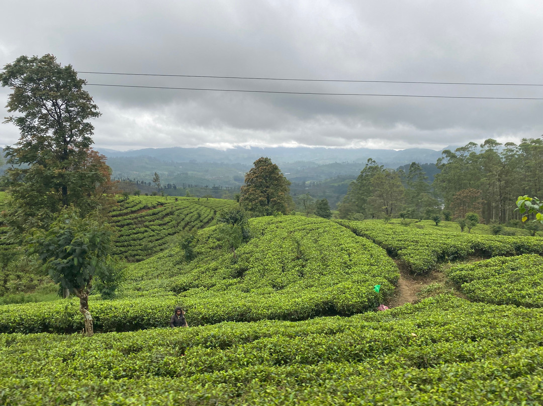 Wonder Sri Lanka Tours-卡图纳耶克必去景点