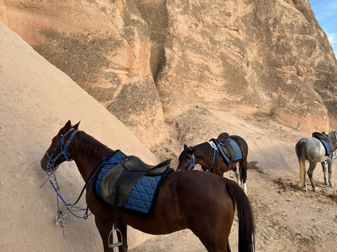 Doga Binicilik Merkezi-卡帕多细亚必去景点