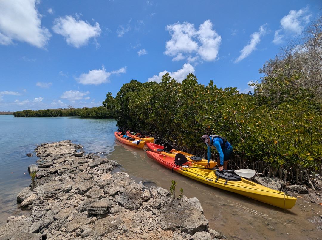 Sea Kayak Adventures-毛里求斯必去景点