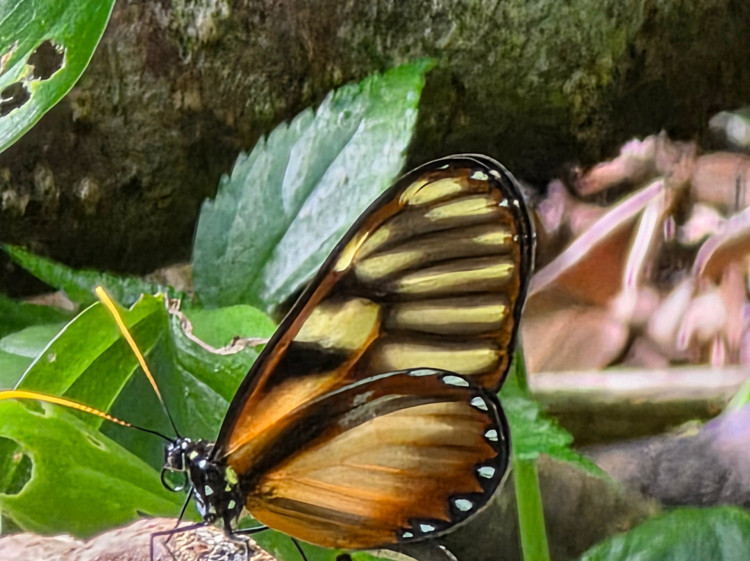 C. R. Referrals Travel-Atenas必去景点