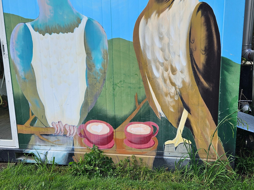 Wheelie Fantastic Cycle Hire & Tours-Mapua必去景点